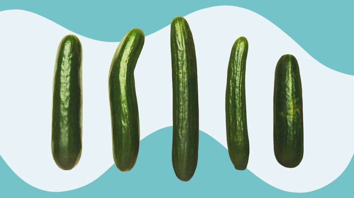 Cucumber has different sizes